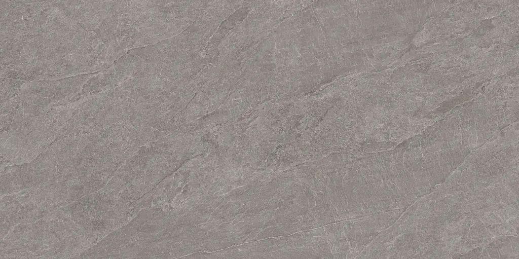 [CERDPS262R] DPS oyster 60x120 rett 20mm