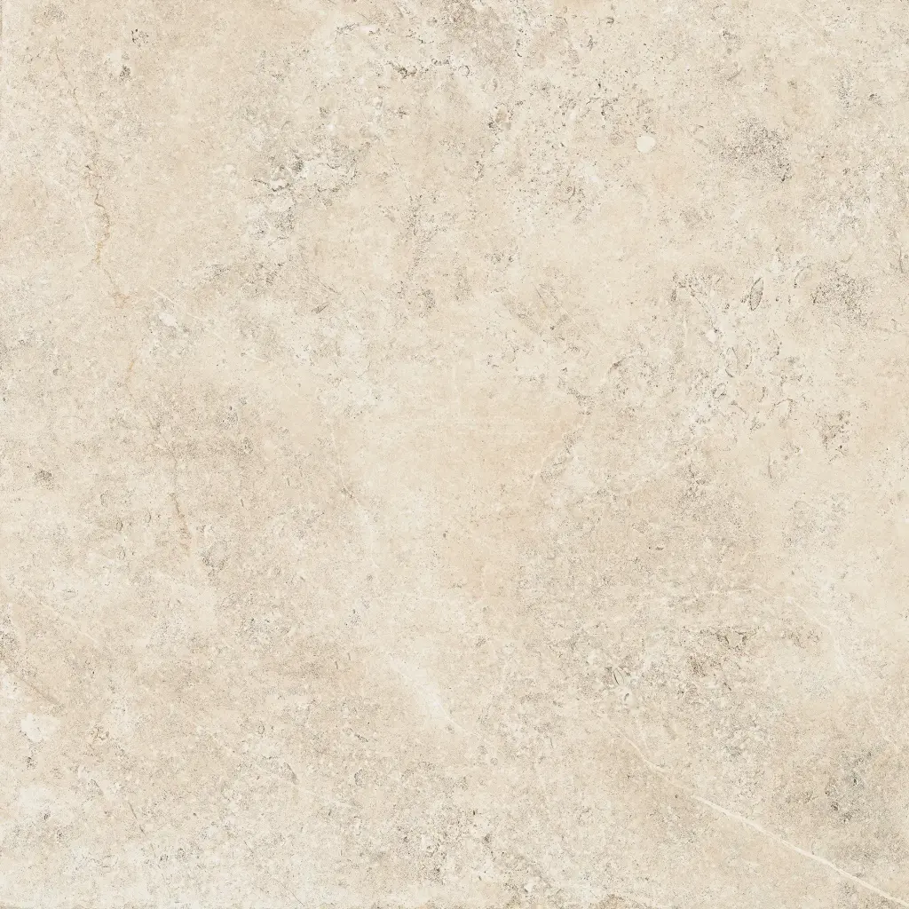 [CERLST460R] LANDSTONE Clay 60x60 rett 20mm