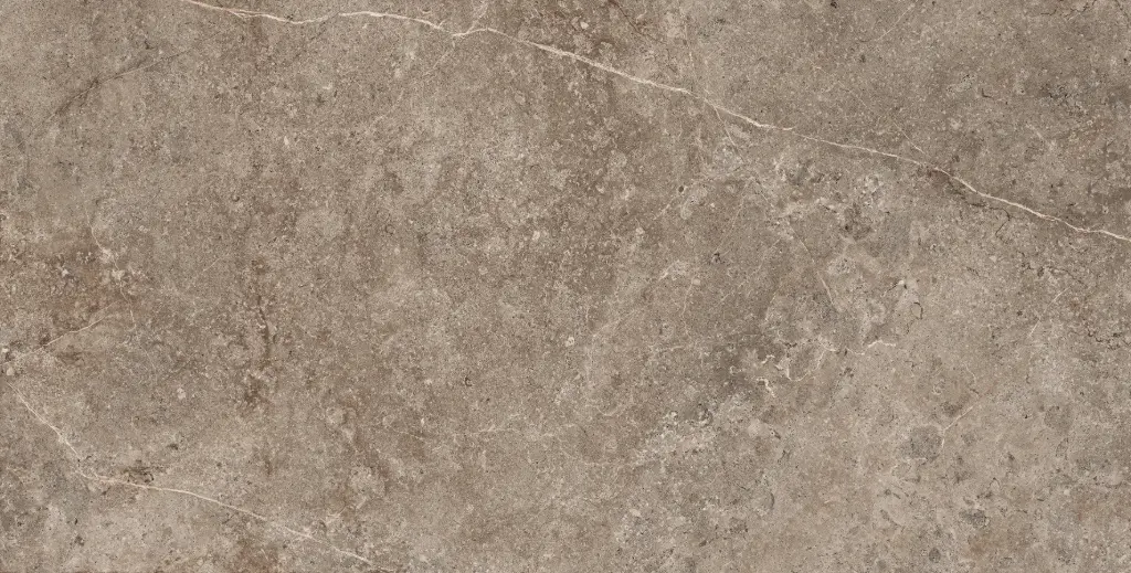 [CERLST669R] LANDSTONE Earth 60x90 rett 20mm
