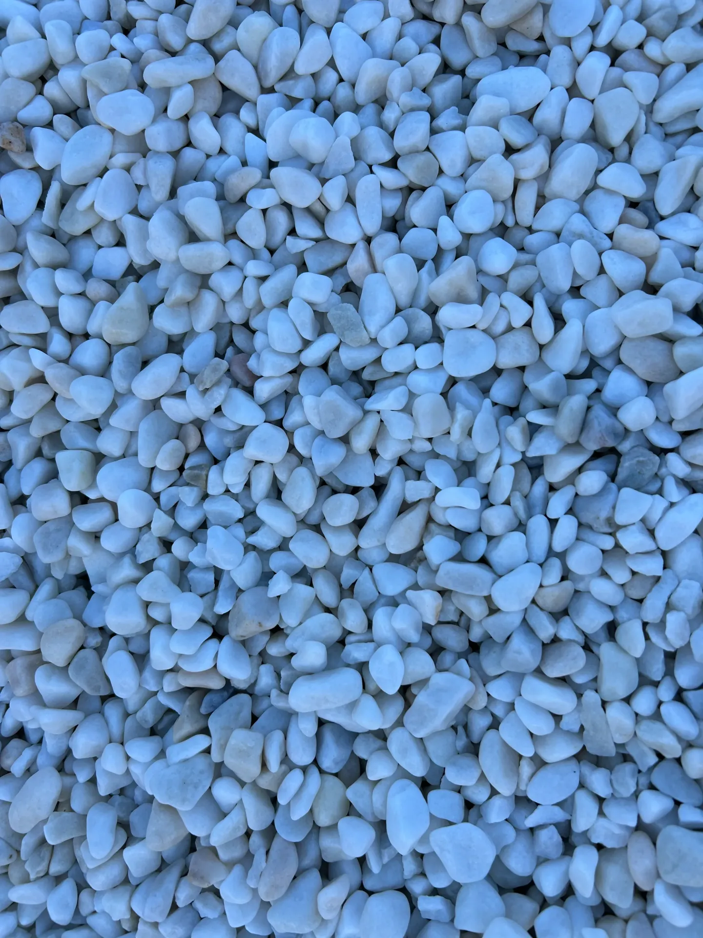 [VRA202] Galet MARBRE blanc pur roulé 8/12