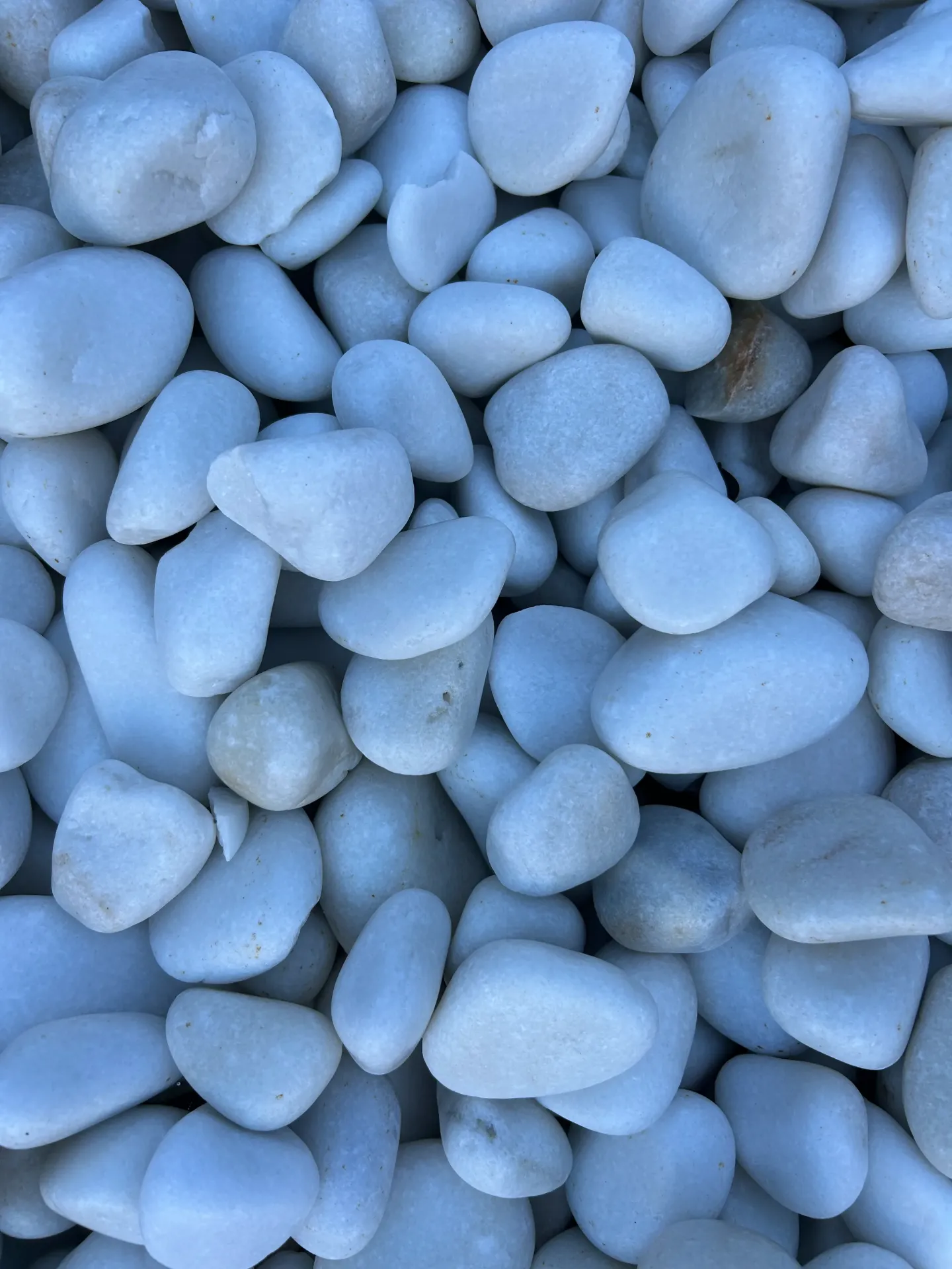 [VRA205] Galet MARBRE blanc pur roulé 30/60