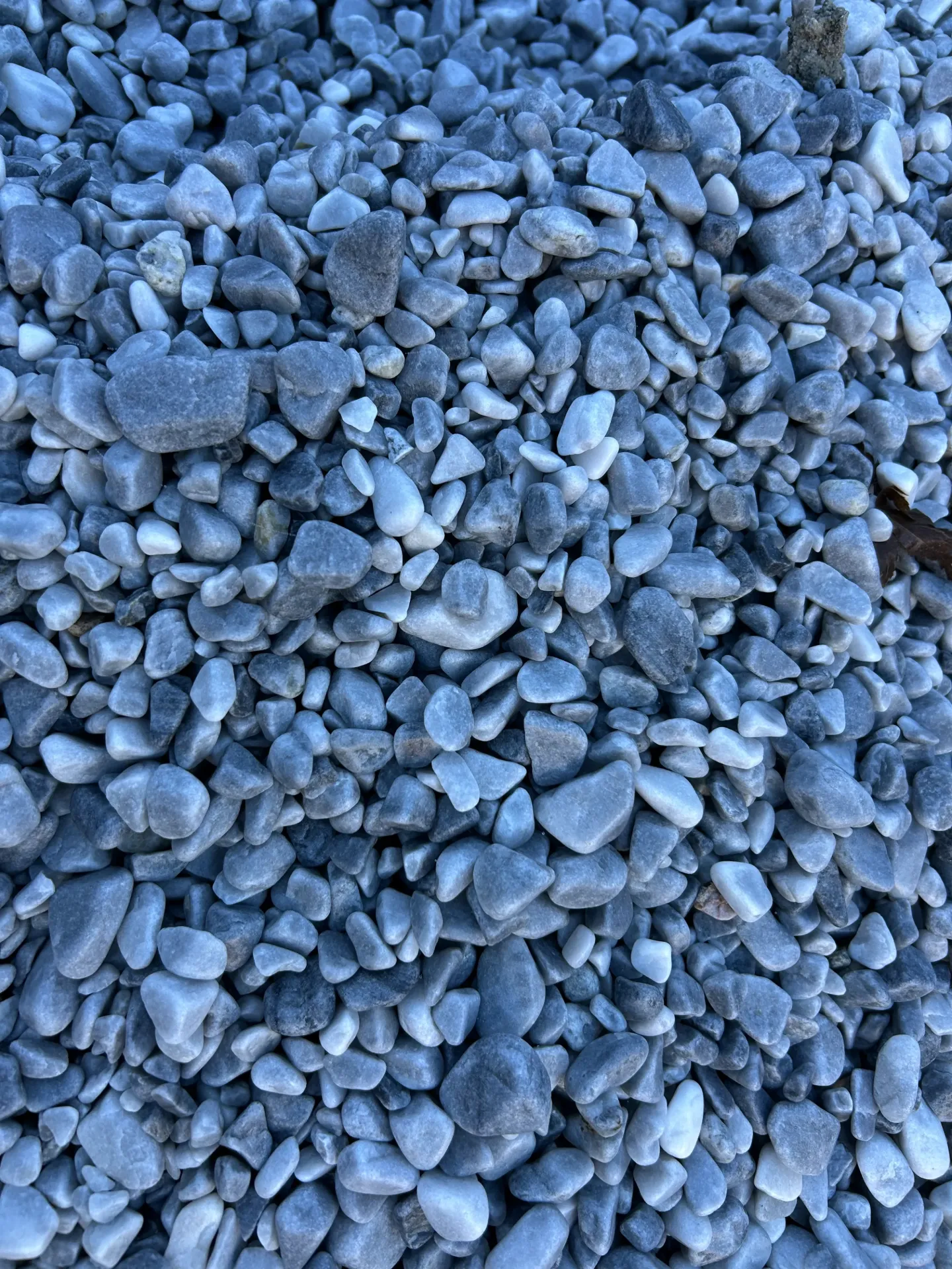 [VRA209] Galet MARBRE gris bleu roulé 8/12